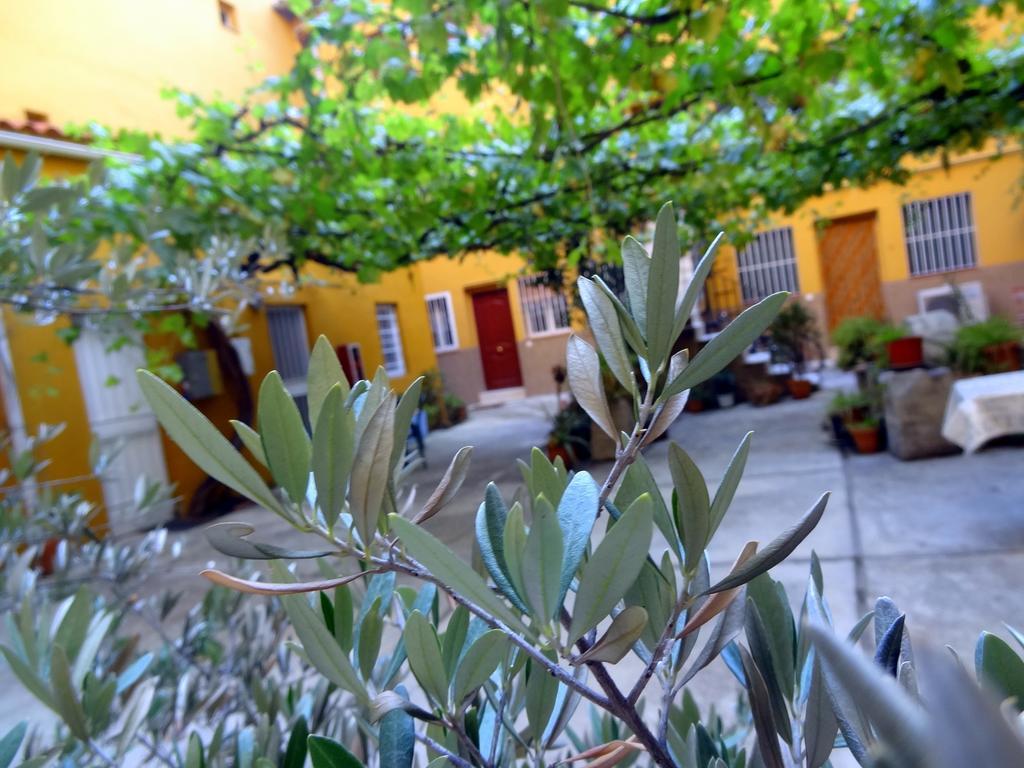 مدريد Apartment Olivar الغرفة الصورة